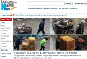 Partial screen capture of the home page of the Chinese news agency Xinhua (http://www.xinhuanet.com/english/), showing the culling of poultry in Shanghai.
